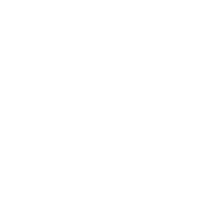 AI/Big Data