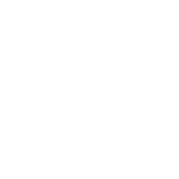 Architecture Design